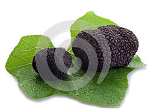 Black truffle over leaf on white