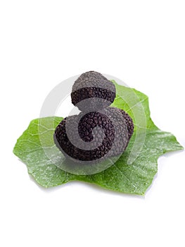 Black truffle over leaf on white