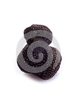 Black truffle on white