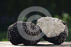 Black Truffles closeup with natural background