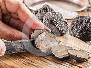 Black truffles. photo