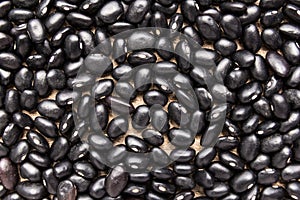 Black Turtle Bean legume. Closeup of grains, background use.