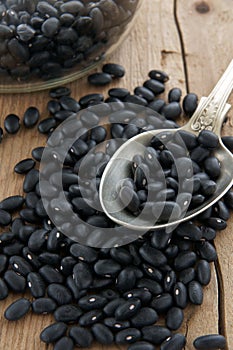 Black Turtle Beans