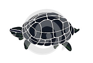 Black Turtle silhouette. Sea turtle vector isolated on white.