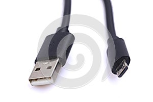 Animals made from play clay