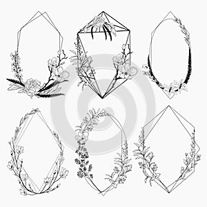 Vector Floristic Frames with Geometric Lines Design photo