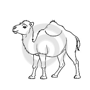 Black Vector fun camel smiling on a white background for coloring book for children