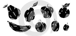 Black vector linocut style fruits illustrations