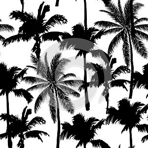 Black vector palm trees. Hand drawn seamless pattern. Summer  tropical palm tree leaves seamless pattern. Abstract nature