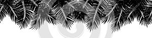 Black vector seamless summer palm leaves on white background