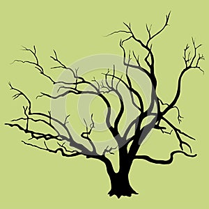 Black vector silhouette of skeletal branches of a willow deciduous tree. An old tree with a thick trunk at the base, very branchy