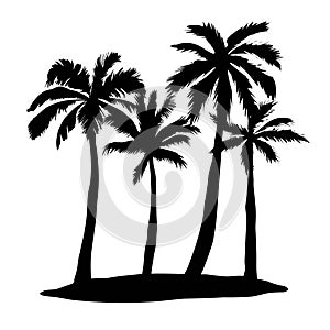 Black vector single palm tree silhouette icon isolated