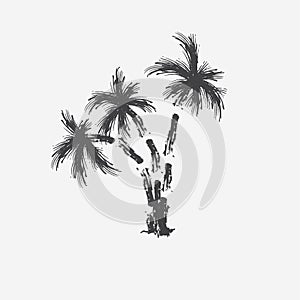 Black vector single palm tree silhouette icon isolated