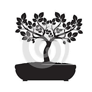 Black Vector Tree. Illustration of Bonsai.