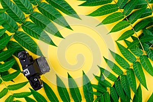 Black vintage retro photo film camera, abstract frame border of tropic green leaves on yellow background