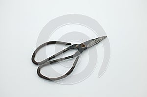 Black vintage scissors on white textured background