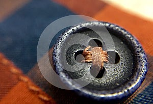 Black and violet coloured button