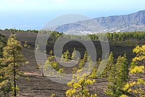 Black volcanic landscape at the isle of La Palma, Spain