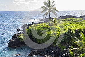 Black volcanic rock formation and greenery in Hawaii