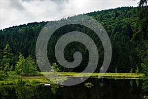 Black water with almost black trees - Lac de Lispach, La Bresse