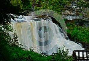 Black water falls in West Virginia.