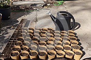 Black watering can behind rows of dirt filled containers ready for seed