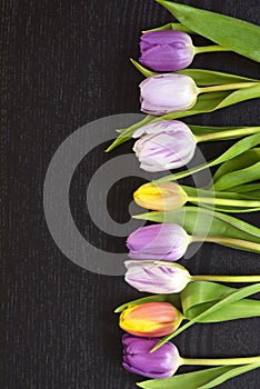 Black wenge wooden empty copy space background with colorful tulips