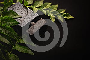 Wet perfume with green leaves