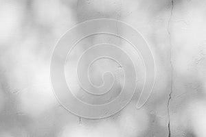 Black and White abstract background textuer of shadows leaf on a concrete wall