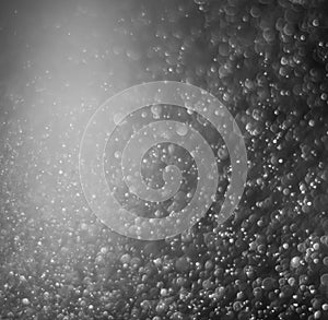 The black and white abstract blurred background for your design