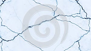 Black and white abstract patterns resembling cracks on a surface