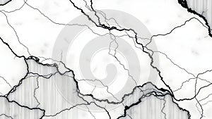 Black and white abstract patterns resembling cracks on a surface