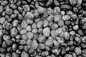 Black and White agates background photo