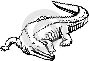 Black and White Alligator Illustration