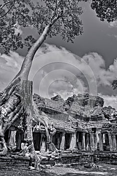 Black and White Angkor Wat Photo