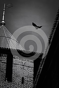 Black and white art photo - an old brick castle with a carved roof and a weather vane and a flying crow.