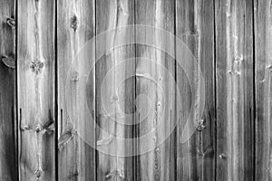 Black and white background made of wood. Wood texture.