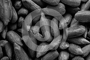 A black and white food background texture image of sunflower seeds.