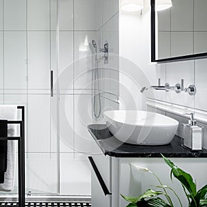 Black and white bathroom with shower