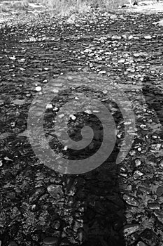 Black and White beach with pebles