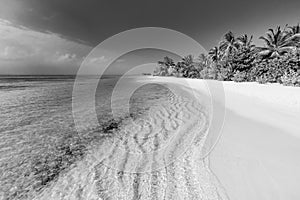 Black and white beach scene. Dramatic island shore landscape, dark sky with calm water. Monochrome tropical coast