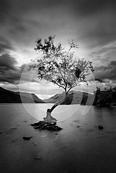 Black and white Beautiful landscape image of Llyn Padarn at sunrise in Autumn in Snowfonia National Park