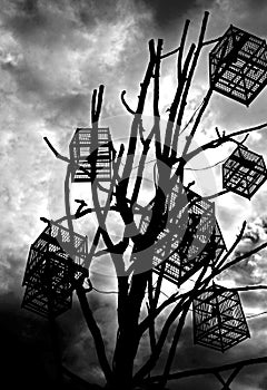 Black and white Bird cage