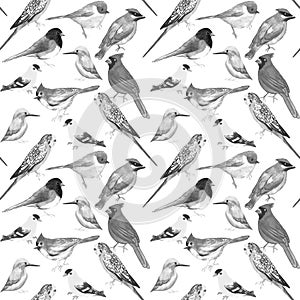 Black and white birds against white background seamless artwork