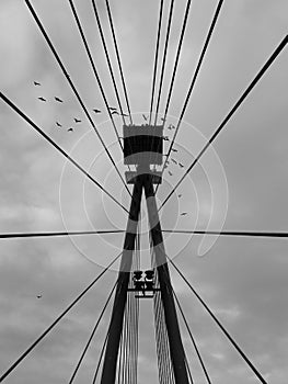 Black and White of birds on the bridge