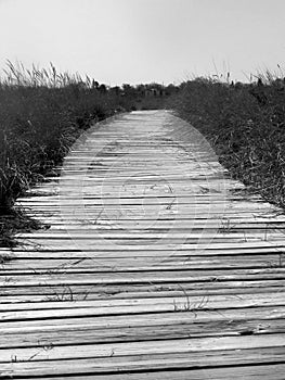 Black and White Boardwalk Along Lake Michigan