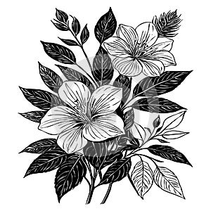 Black and white botanical pattern. For use in graphics, materials. Abstract plant shapes. Minimalist illustration for printing on