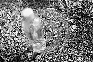 Black and white bottle of drinking water in Norway forest bokeh