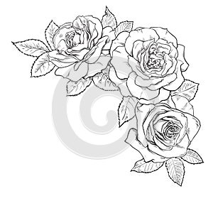 Black and white bouquet of roses. Decorative hand drawn corner element for tattoo, greeting card, wedding invitation. Vector