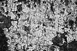 Black and white brick wall background. Detail of a Black and white brick wall texture.